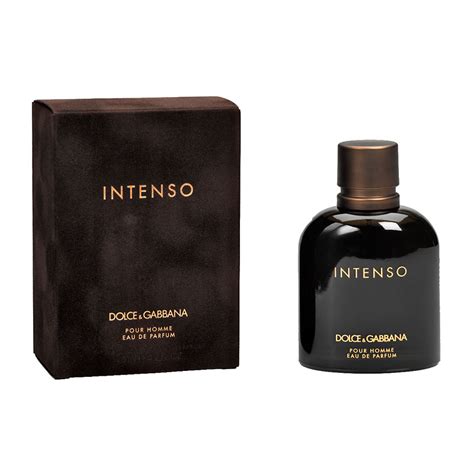 intenso dolce gabbana 100ml|More.